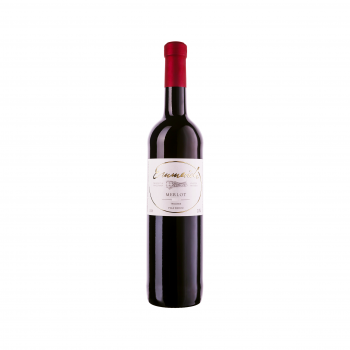 RUBIN Merlot Barrique 2018 - Hohenbühl