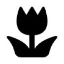 Frühlingspaket – Klassik