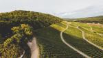 Weingut Emmerich Weinberge