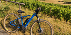 Radltour durch die Iphöfer Weinberge mit dem Weingut Emmerich